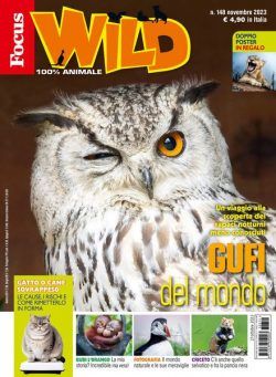 Focus Wild – Novembre 2023