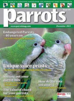 Parrots – December 2023