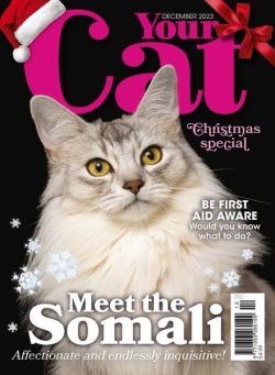 Your Cat – December 2023