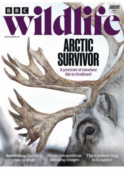 BBC Wildlife – January 2024