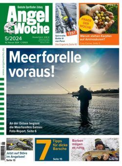 Angel Woche – 16 Februar 2024
