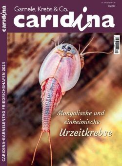 Caridina – Februar 2024