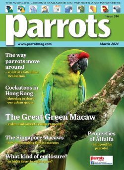 Parrots – March 2024