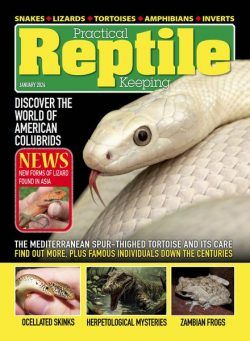 Practical Reptile Keeping – January 2024