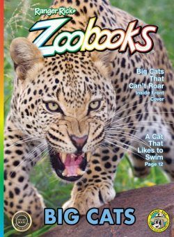 Ranger Rick Zoobooks – Big Cats 2024