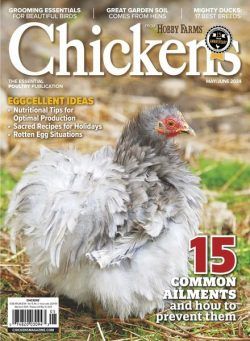 Chickens – May-June 2024