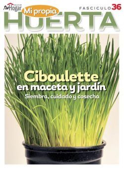 La Huerta en Casa – Febrero 2024