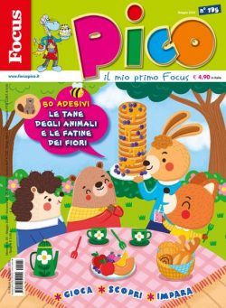 Focus Pico – 10 Maggio 2024