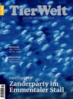 TierWelt – 13 Juli 2024