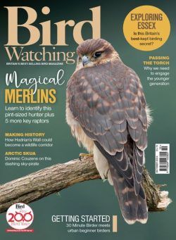Bird Watching UK – October 2024