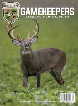 GameKeepers – Fall 2024