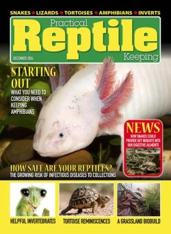 Practical Reptile Keeping – December 2024