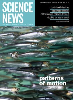 Science News – 25 November 2006
