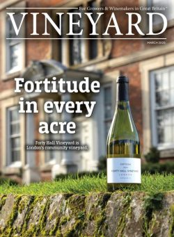 Vineyard – March 2025