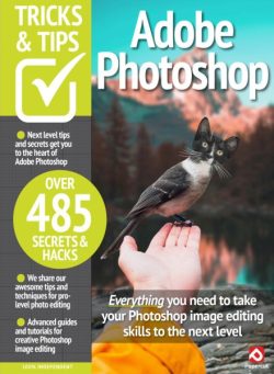 Adobe Photoshop Tricks and Tips – Spring 2025