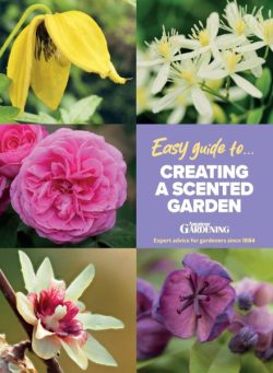 Amateur Gardening Easy Guide – Issue 5 2025