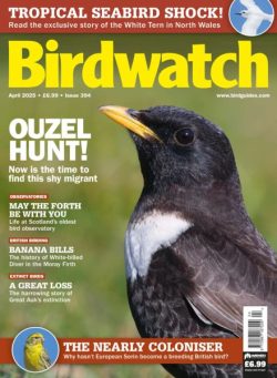 Birdwatch UK – April 2025