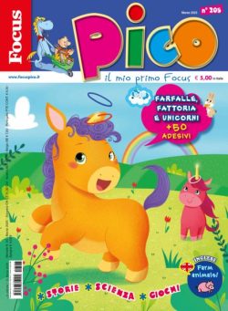 Focus Pico – Marzo 2025
