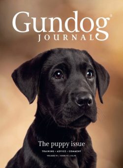 Gundog Journal – Volume VI Issue VI 2025