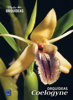Mestre das Orquideas – Edicao 22 2025