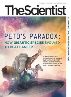 The Scientist – Spring 2025