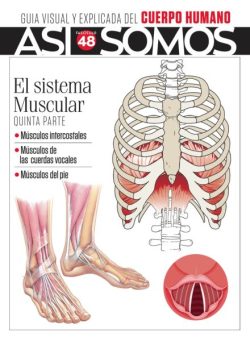Asi Somos El cuerpo humano – Marzo 2025