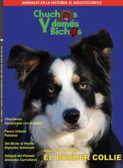 Chuchos y Demas Bichos – Abril-Mayo 2025