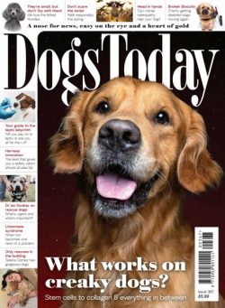 Dogs Today UK – Issue 367 2025