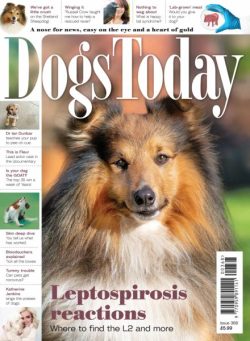 Dogs Today UK – Issue 368 2025