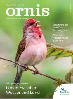 Ornis – April 2025