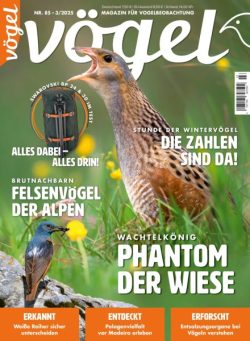 Vogel Magazin – April 2025