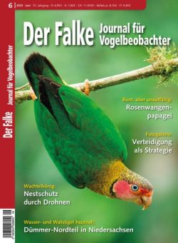 Der Falke Journal fur Vogelbeobachter – Juni 2025