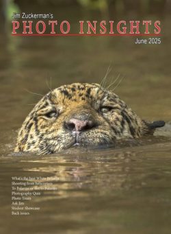 Photo Insights – June 2025
