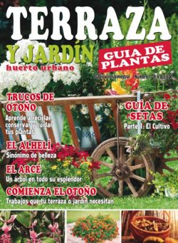 Terraza y Jardin – Junio 2025