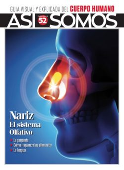 Asi Somos El cuerpo humano – Julio 2025