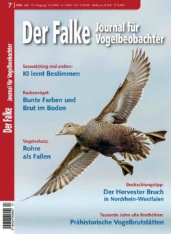 Der Falke Journal fur Vogelbeobachter – Juli 2025