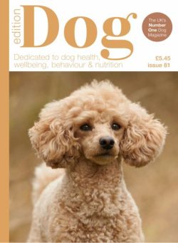 Edition Dog – Issue 81 2025