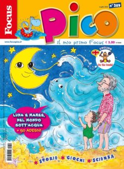 Focus Pico – Luglio 2025