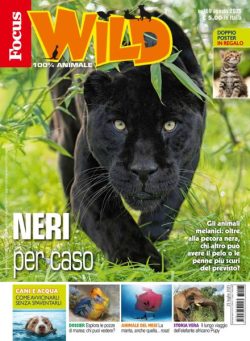 Focus Wild – Luglio 2025