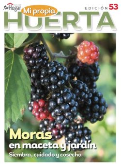La Huerta en Casa – Julio 2025