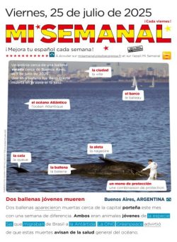 Mi Semanal – 25 Julio 2025