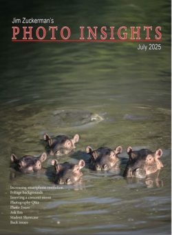 Photo Insights – July 2025