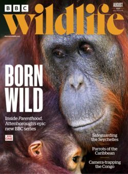 BBC Wildlife – August 2025