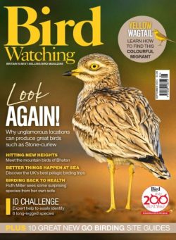 Bird Watching UK – September 2025
