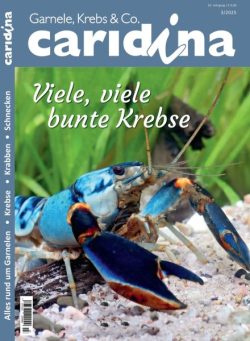 Caridina – 4 August 2025