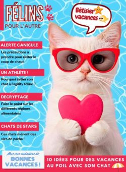 Felins pour l’autre – 29 Juillet 2025