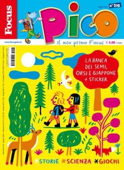 Focus Pico – Agosto 2025