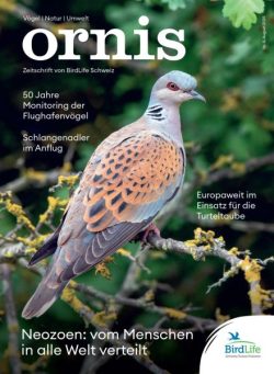 Ornis – August 2025