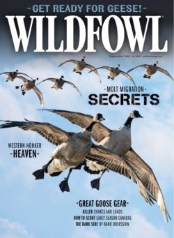 Wildfowl – September 2025