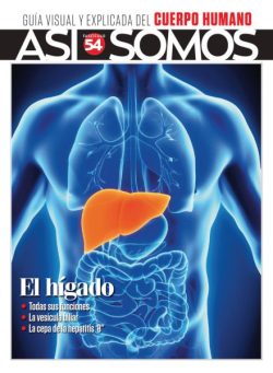 Asi Somos El cuerpo humano – Septiembre 2025